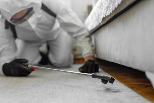 Professional Fumigation Services technician working in Shorewood-Tower Hills-Harbert, MI